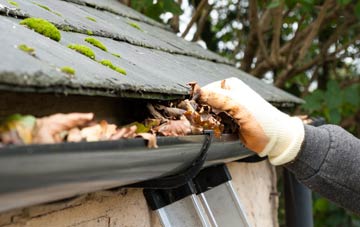 gutter cleaning Bladnoch, Dumfries And Galloway
