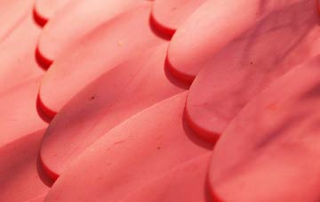 Bladnoch plastic roof costs