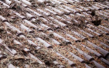 Bladnoch roof cleaning companies