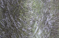 Bladnoch fibreglass roof work